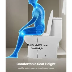 VEVOR One-Piece Toilet, Elongated Toilet Vortex Dual-Flush 1.0/1.28 GPF, Toilets for Bathroom with Comfortable Chair Seat, Standard Height, 12 inch Rough-In, White + Silver, Easy-Clean Skirted Design