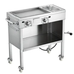 VEVOR Outdoor Propane Griddle, 2 Burners (11,600 BTU Each), Commercial Stainless Steel Gas Griddle Cart with 4 Lockable Wheels, 1/3 Food Pan, Easy-Grip Side Handle, Ideal for Hot Dogs, Burgers & Meats