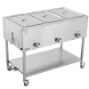VEVOR 3-Pan Commercial Propane Steam Table, LP Gas Outdoor Soup Warmer with Drain Valve and 3" Wheels, Stainless Steel Propane Food Warmer with Independent Temp Control, for Restaurant Outdoor Camping