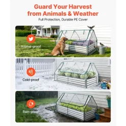 VEVOR Raised Garden Bed with Cover, 6 x 3 x 1 ft, Rectangular Galvanized Metal Planter Box Kit Outdoor, with PE Greenhouse Cover & Gloves, Rustproof Alu-Zinc, for Growing Flowers Vegetables, Silver