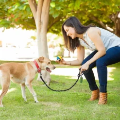 VEVOR Rope Dog Leash, 6ft Heavy Duty Dog Leash with Comfortable Padded Handle, Strong Nylon Thick Leash with Reflective Threads, Dog walking and Training Leash, for Medium Large Dogs (1/2 in, Black)