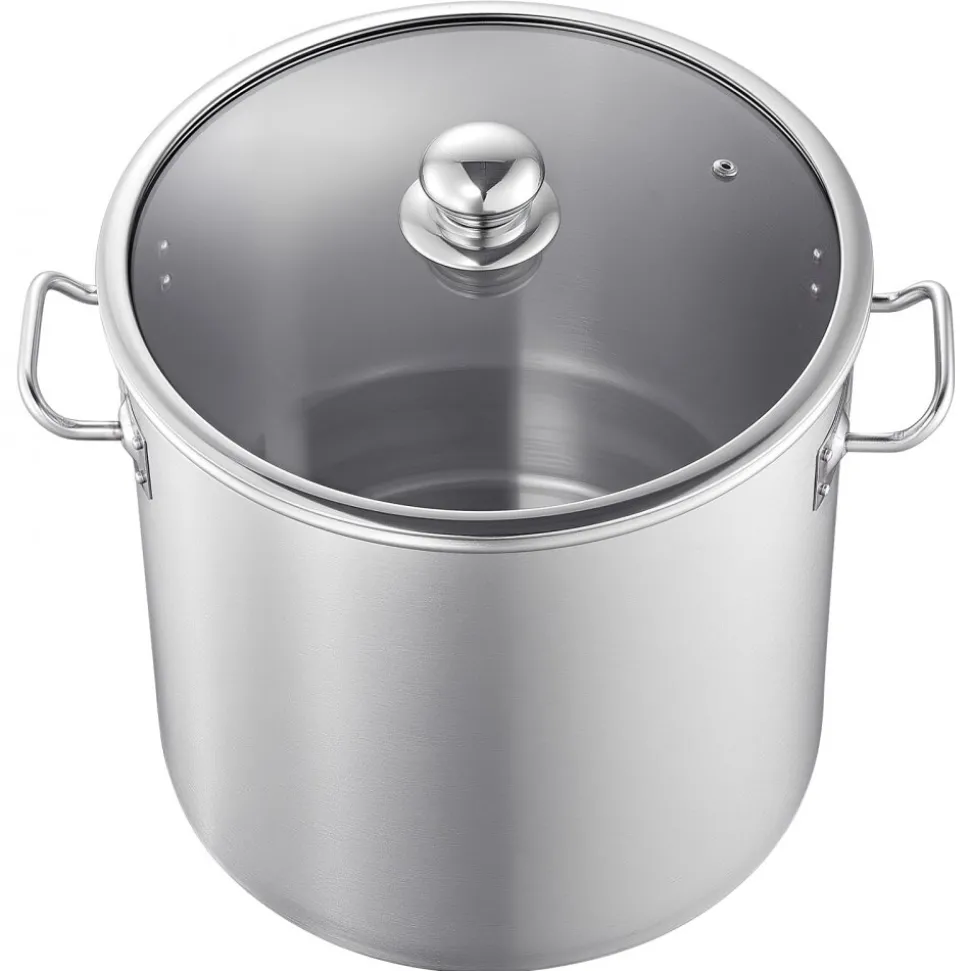 VEVOR Stainless Steel Stock Pot, 21-Quart Stainless Steel Stockpot with Glass Lid, PFOA-Free, PFAS-Free, Compatible with Gas Stoves, Induction Cooktops, Electric Stoves, for Soups, Stews, and Pasta