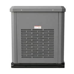 VEVOR Standby Generator, Dual Fuel Whole Home Generator, LPG 22Kw Max Power & Natural Gas 20Kw Max Power, Whole House Power Backup For Home Backup, Camping, AVR Voltage Regulation, LCD Display