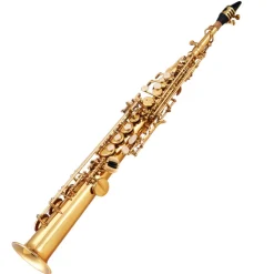 VEVOR Straight Soprano Saxophone, B Flat, Brass Saxophone Beginner Kit with Carrying Case, Mouthpiece, Cleaning Cloth Rod, Gloves, Neck Strap, 23 Keys Soprano Sax Kit, for Beginners Students, Gold