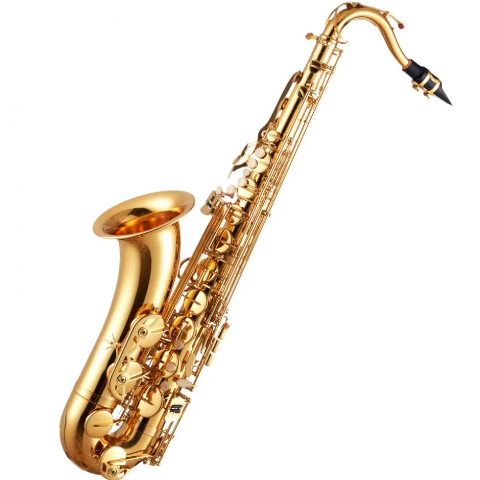 VEVOR Tenor Saxophone, B Flat, Professional Brass Saxophone Beginner Kit with Carrying Case, Mouthpiece, Straps, Cleaning Cloth, Gloves, Neck Strap, 23 Keys Tenor Sax Kit, for Beginners Students, Gold