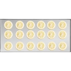 VEVOR Vacuum Freeze Dryer Machine, 8.8-13.2 LBS/Batch Food Freeze Drying Machine with 4-Layer Trays, Vacuum Pump, Adjustable Timer and Temperature Control, for Fruits Vegetables Meat, White