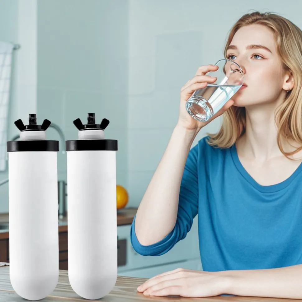 VEVOR Water Filters Replacement, Purification Elements, Ceramic Replacement Filters, Easy to Replace Water Filter, Gravity Water Filter System, Compatible with Most Brands, Pack of 2, White