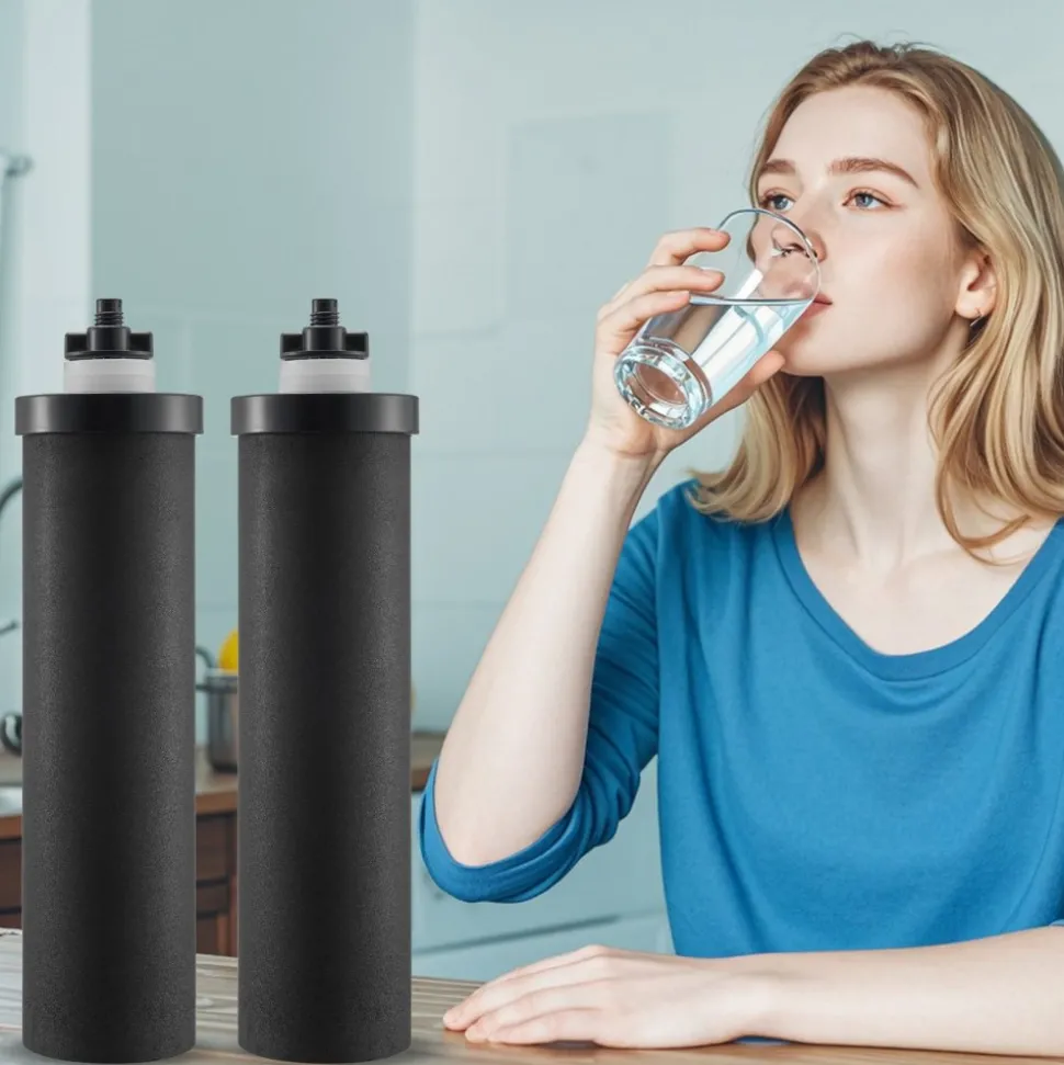 VEVOR Water Filters Replacement, Purification Elements, Activated Carbon Replacement Filters, Easy to Replace Water Filter, Gravity Water Filter System, Compatible with Most Brands, Pack of 2, Black