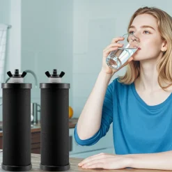 VEVOR Water Filters Replacement, Purification Elements, Activated Carbon Replacement Filters, Easy to Replace Water Filter, Gravity Water Filter System, Compatible with Most Brands, Pack of 2, Black