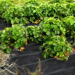 VEVOR Weed Control Fabric 6ft x 300ft - Geo Textile Fabric Heavy Duty - Woven Ground Cover for Commercial Greenhouse, Yard, Garden Barrier Cloth Blocker Mat