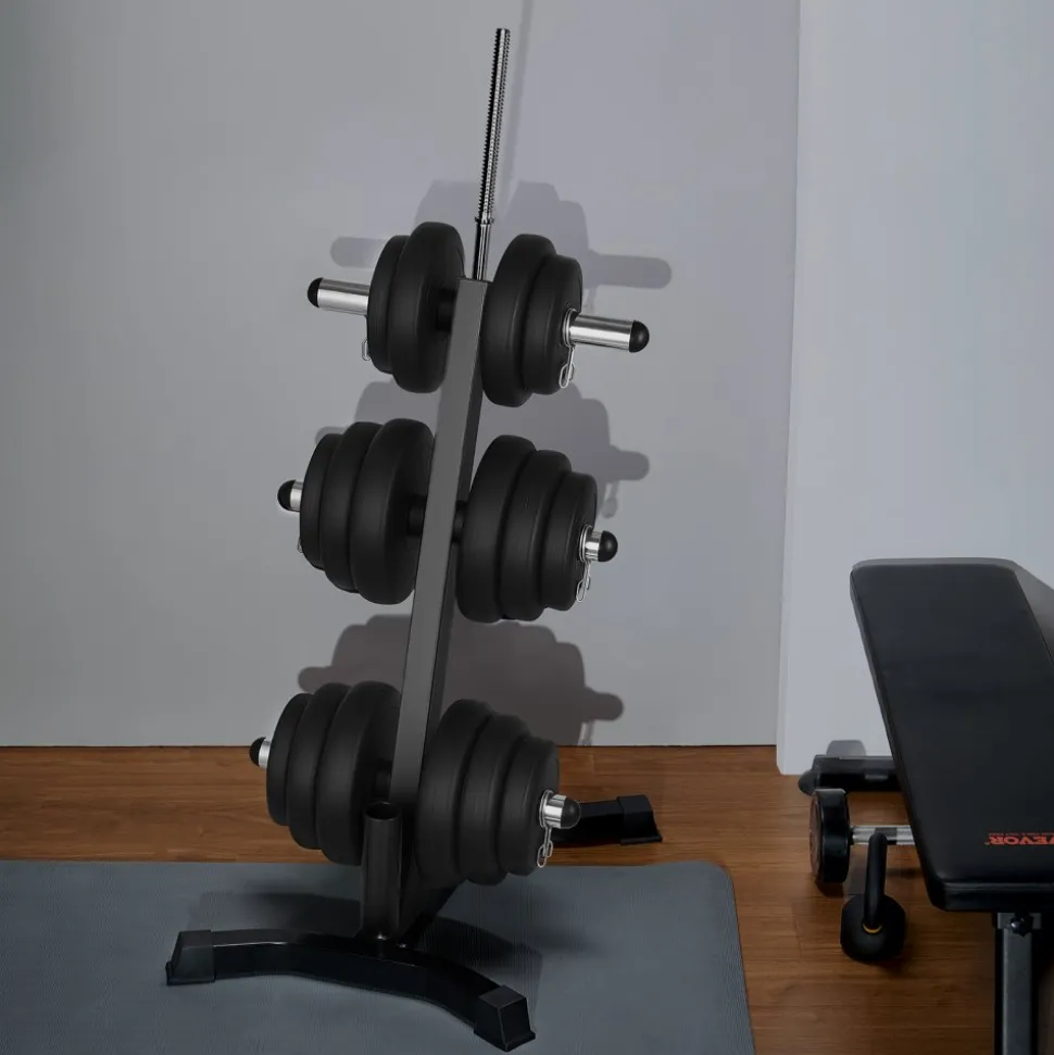 VEVOR Weight Plate Rack, L Frame Weight Plate Tree for 2-Inch Weight Plates, Standard Weight Plate Tree, 1000 lbs Load Capacity Weight Storage Holder, Home Gym Barbell Rack Storage Stand, Black