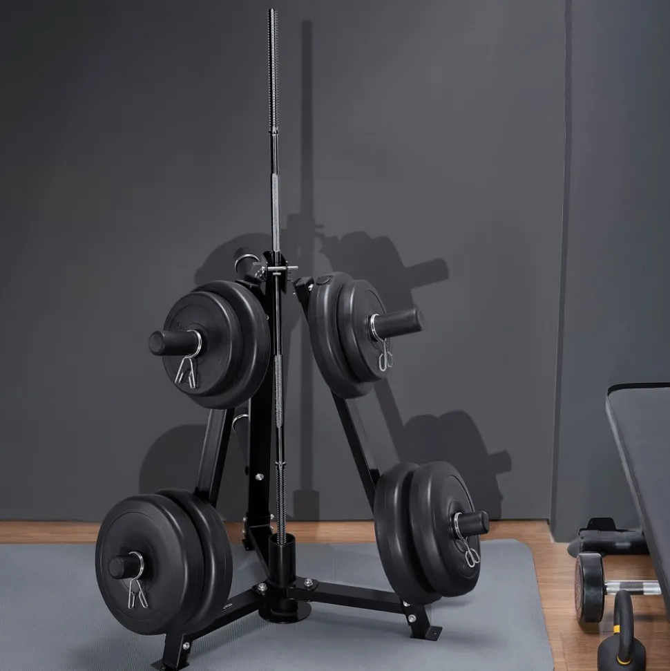 VEVOR Weight Plate Rack, Weight Plate Tree for 2-Inch Weight Plates, Standard Weight Plate Tree, 300 lbs Load Capacity Weight Storage Holder, Home Gym Barbell Rack Storage Stand, Black